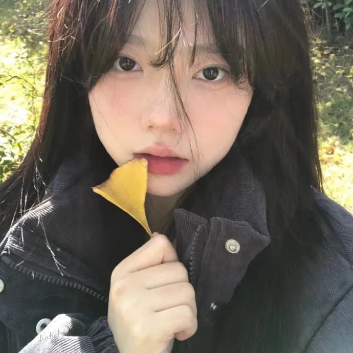 疯狂的麦咭第八季